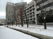 IMG_20180126_083229.jpg