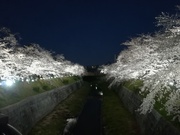 IMG_20190403_184446.jpg