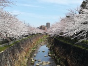 IMG_20190405_113818.jpg