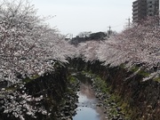 IMG_20190405_114017.jpg