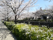 IMG_20190405_114223.jpg