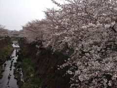 IMG_2718.JPG